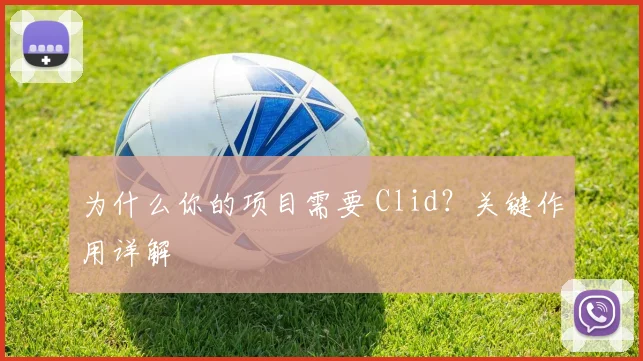 为什么你的项目需要 Clid？关键作用详解